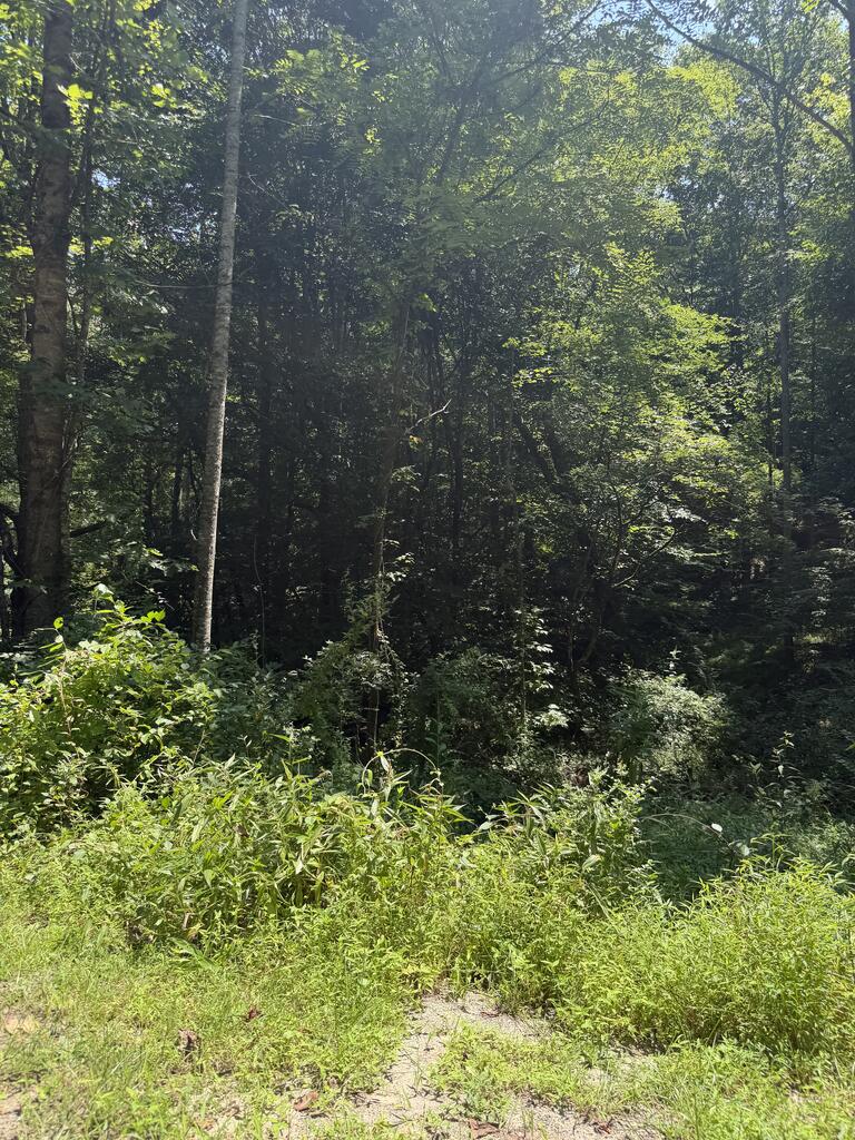 Lot 5 Blair Creek Ridge