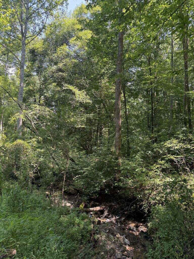 Lot 5 Blair Creek Ridge