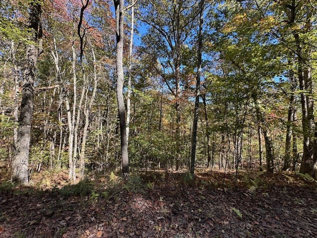 Lot 15 Wolf Creek Estates