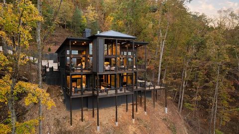 371 Genessee Path Blue Ridge GA 30513