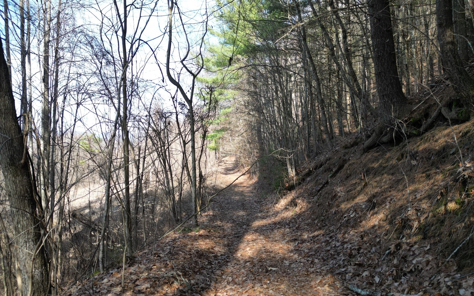 208.15 Fain Peak Drive