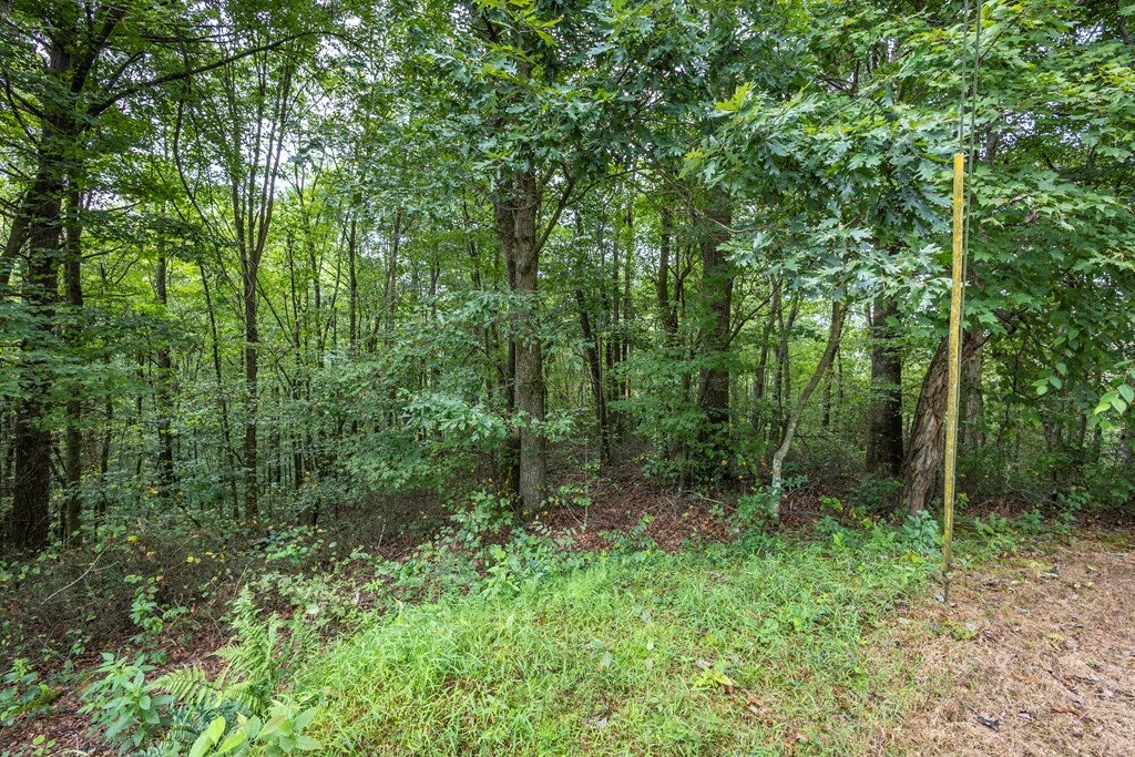 3 AC Chestnut Flats Road