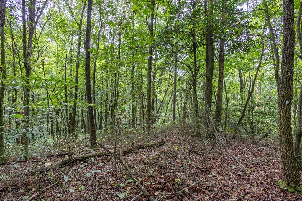 3 AC Chestnut Flats Road