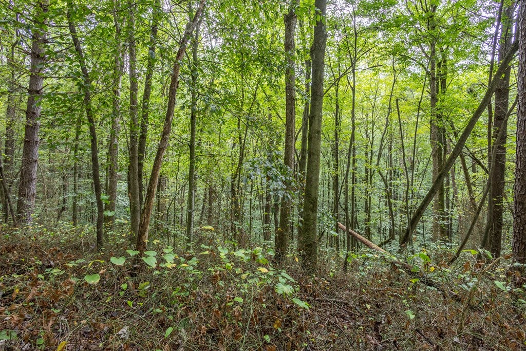 3 AC Chestnut Flats Road
