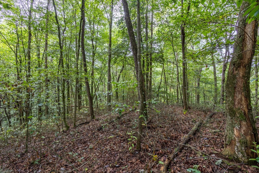 3 AC Chestnut Flats Road