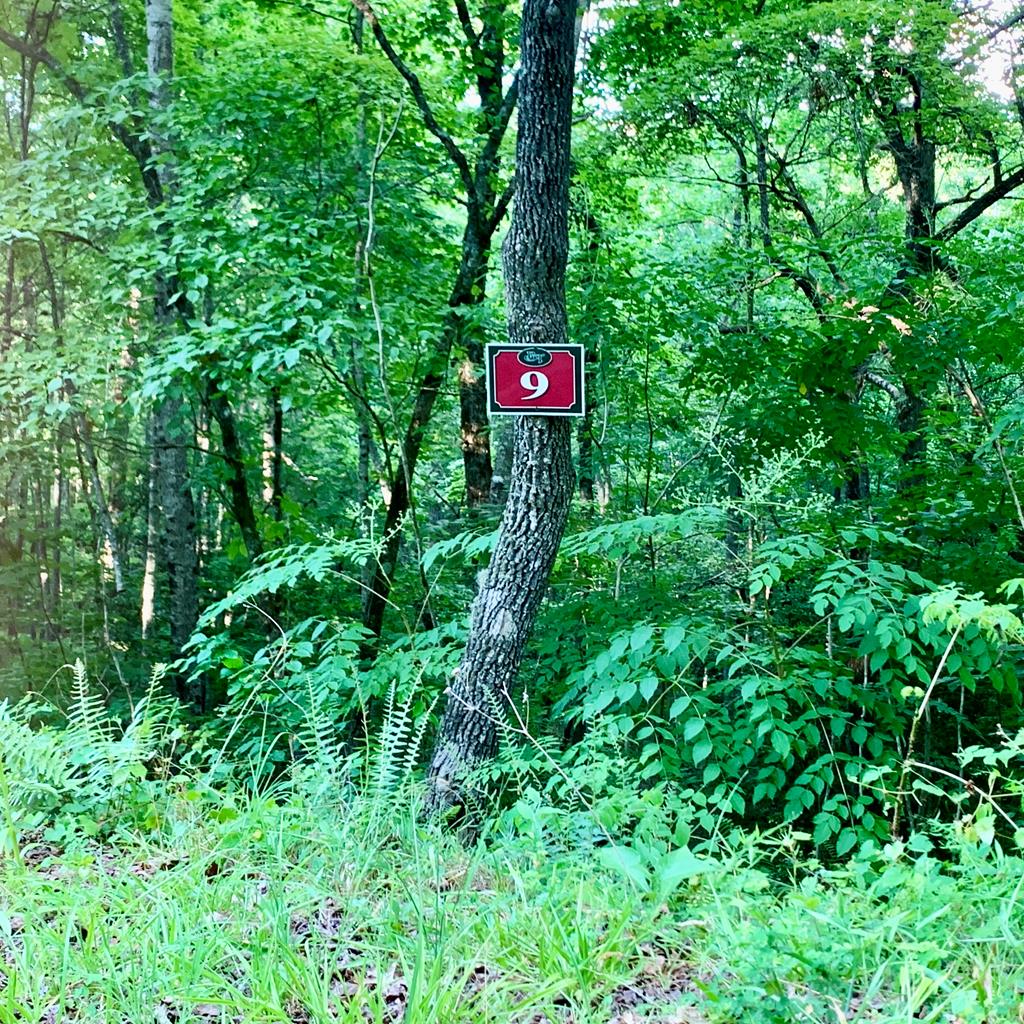 Lot 9 Wildflower Ridge