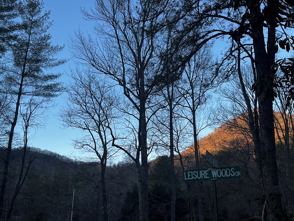 83 Leisure Woods Lane