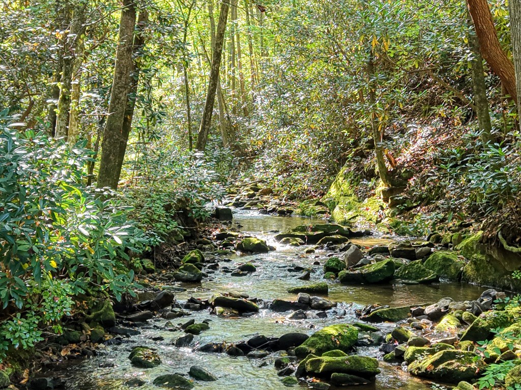 4836 Swallows Creek Road