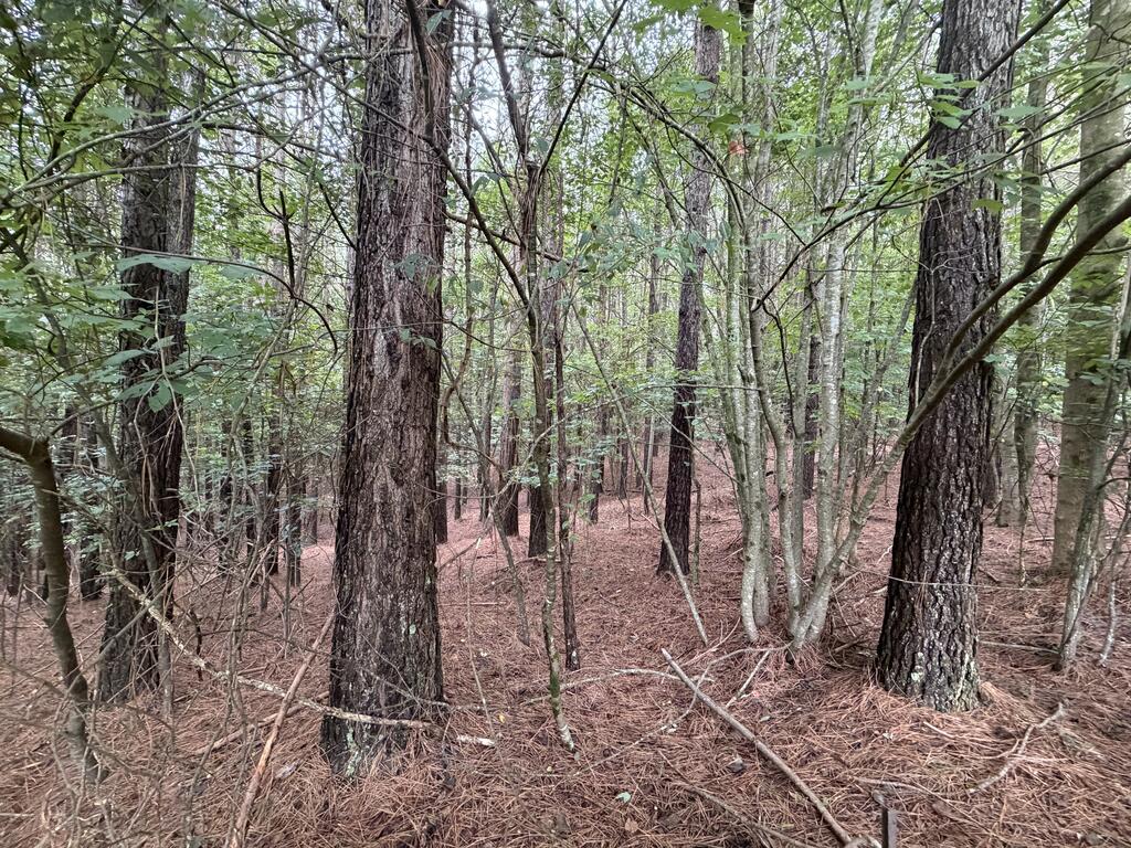 9 Foxpaw Leaf Court