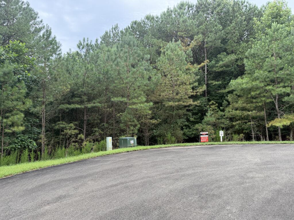 9 Foxpaw Leaf Court