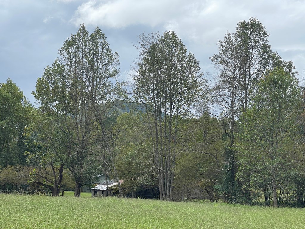 357 P-OF Rocking Chair Trail