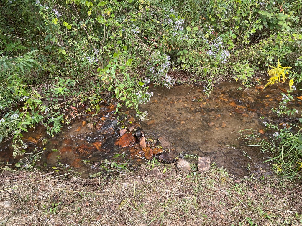 357 P-OF Rocking Chair Trail