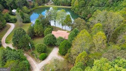 230 Mountain Lake Circle Blue Ridge GA 30513
