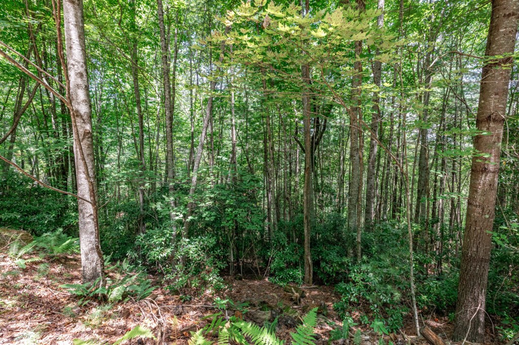 Lot 5 Rocking Chair Ridge