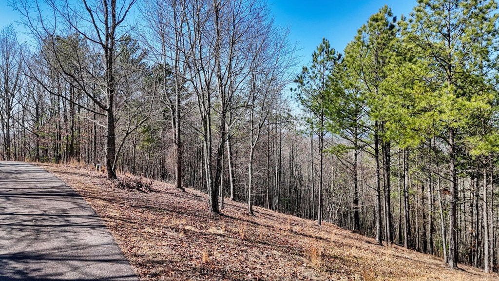 Lot 30 Loftis Mountain