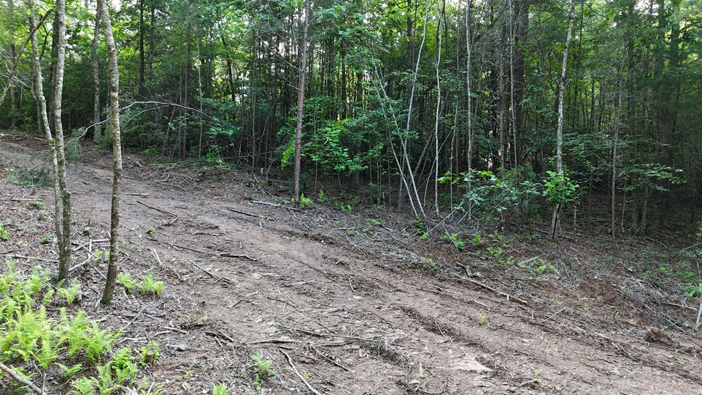 TR C E New Hope Road E