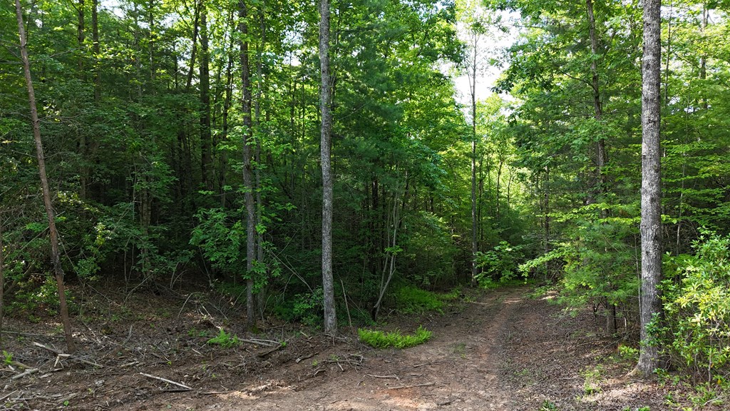 TR C E New Hope Road E