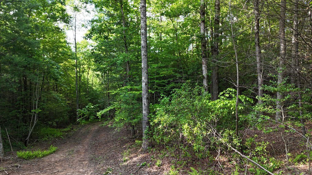 TR C E New Hope Road E
