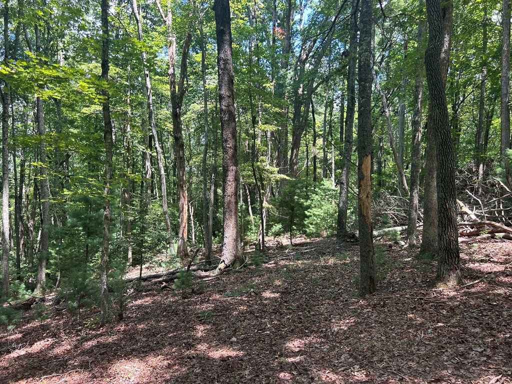 22.5 ac Hwy 2