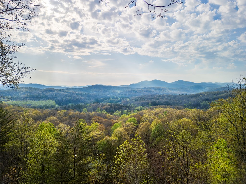 194 Blue Sky Overlook