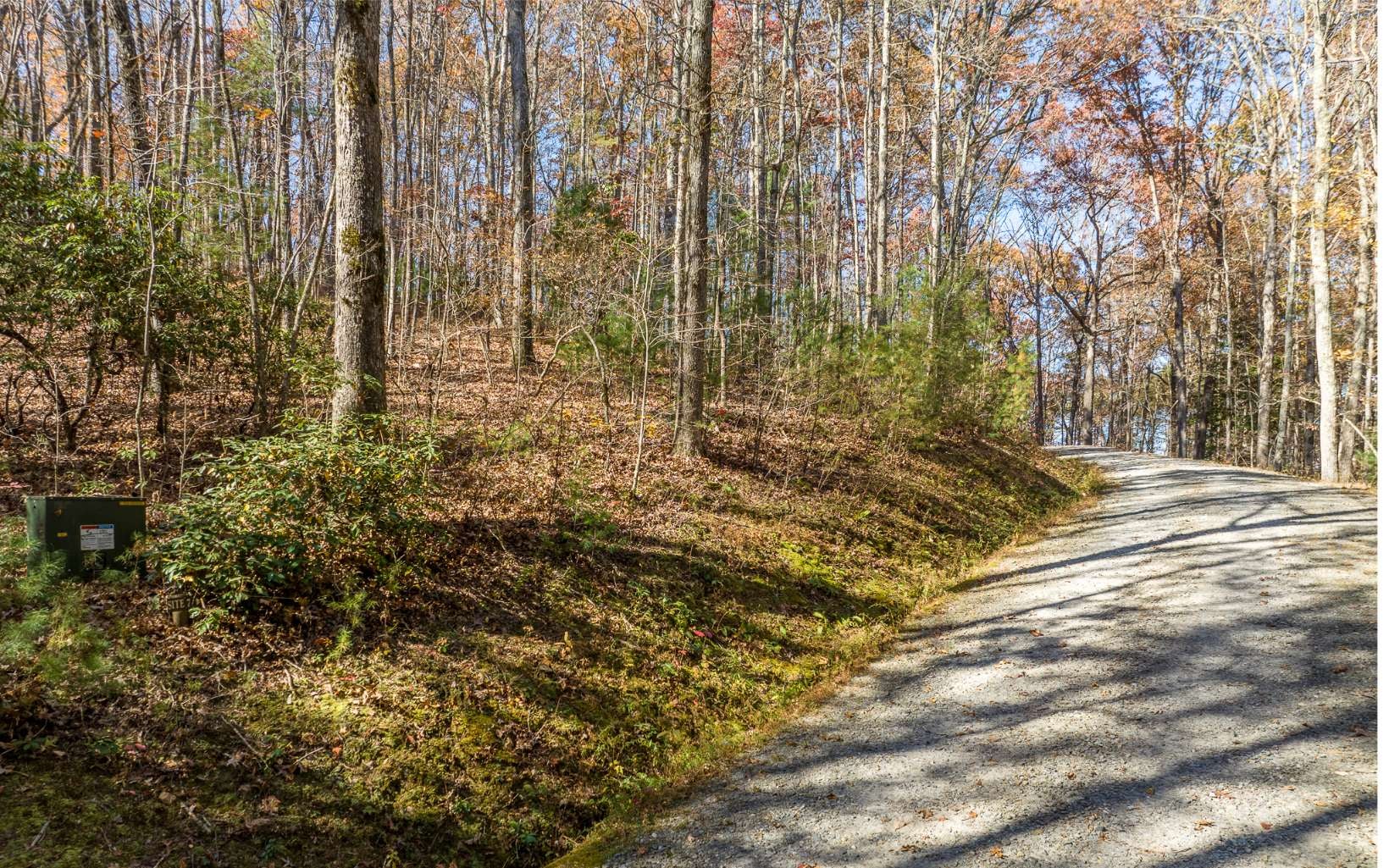 LOT 7 Joseph Anderson Trail