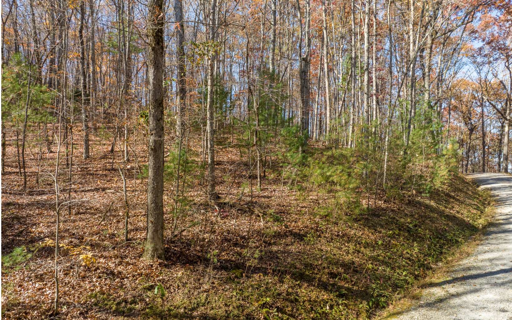 LOT 7 Joseph Anderson Trail