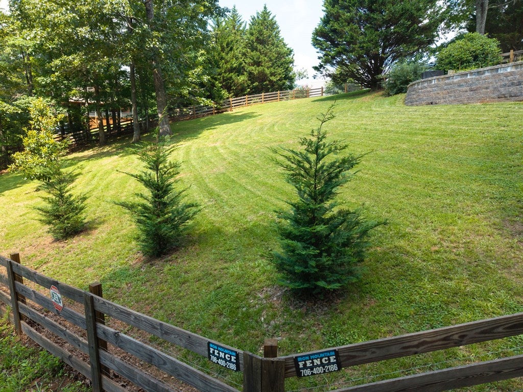 225 Skyland Trail