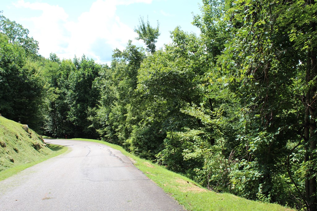 Lot 62 Dan Knob Overlook