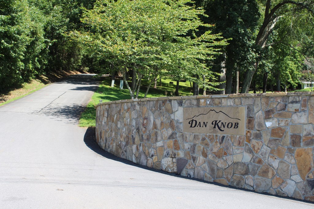 Lot 62 Dan Knob Overlook