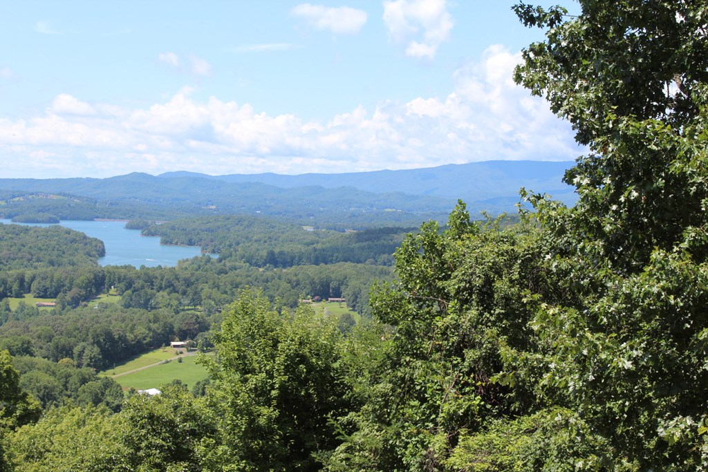 Lot 62 Dan Knob Overlook