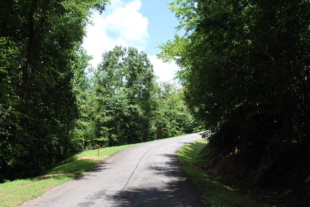 Lot 62 Dan Knob Overlook