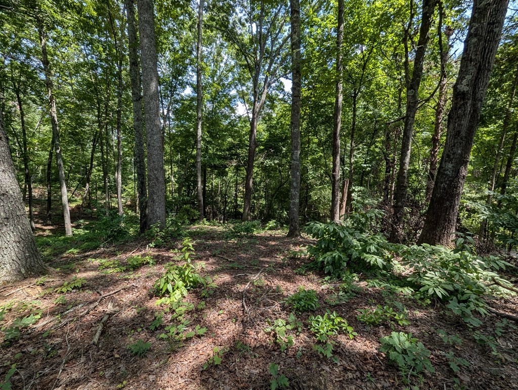 Lot 1 White Oak Circle