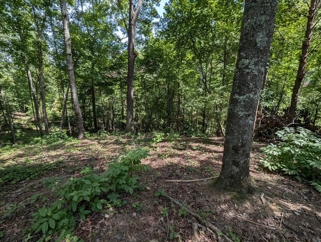 Lot 1 White Oak Circle