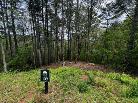 109R Red Oak Trail Ellijay GA 30540