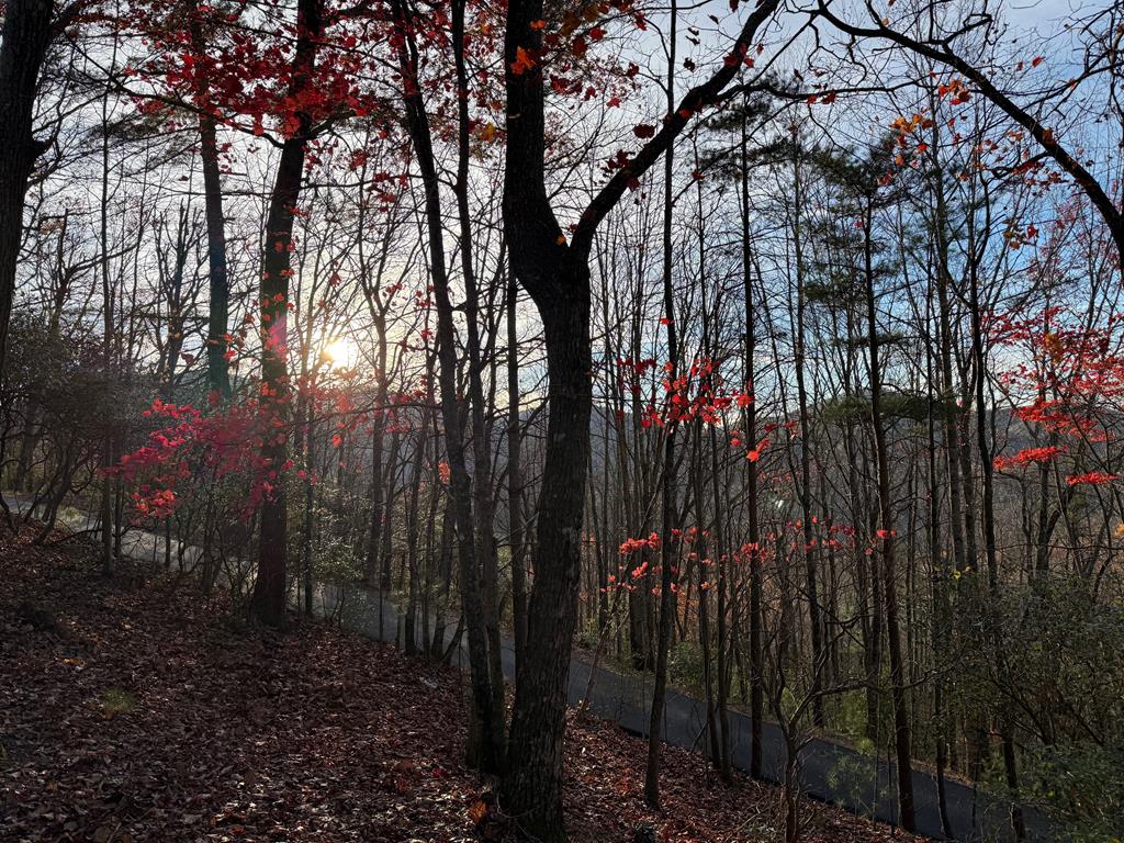 708 Wilson Mountain Road