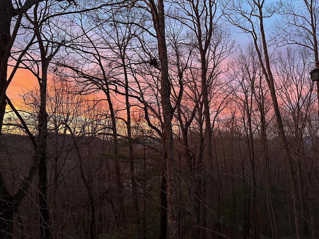 708 Wilson Mountain Road