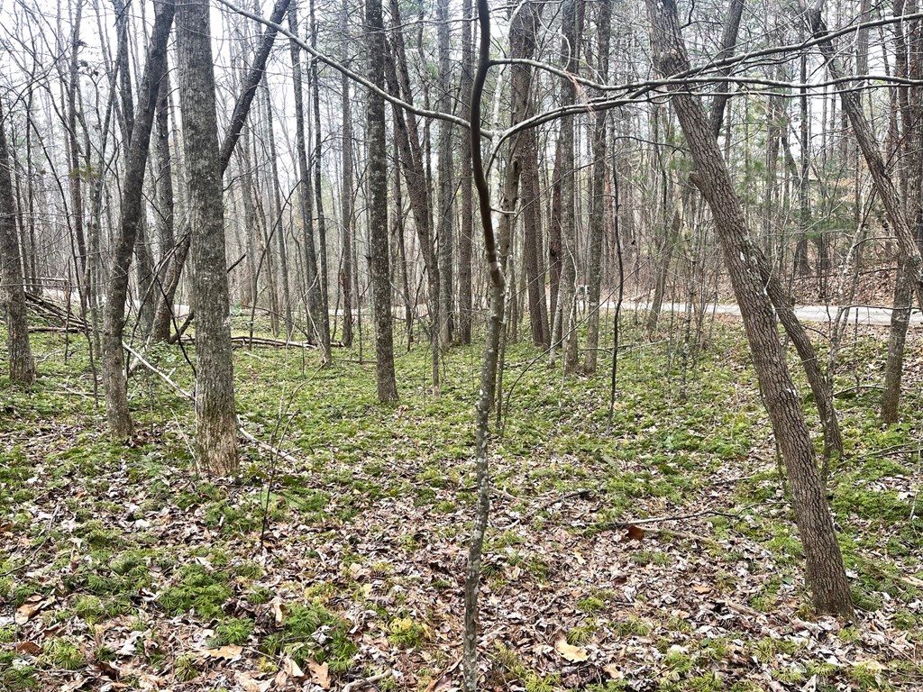 Lot 13 Wilderness Ridge Sub