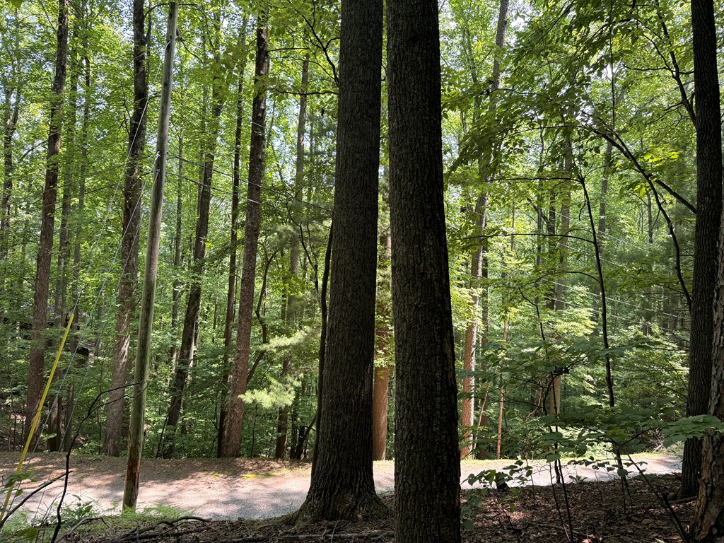 LT J351 Mountain View Court