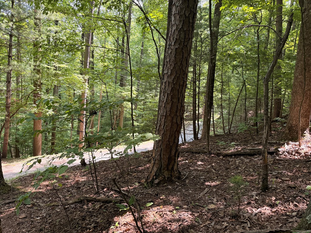 LT J351 Mountain View Court