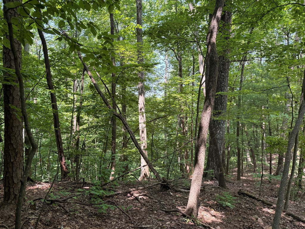 LT J351 Mountain View Court