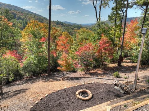 A home in Blue Ridge