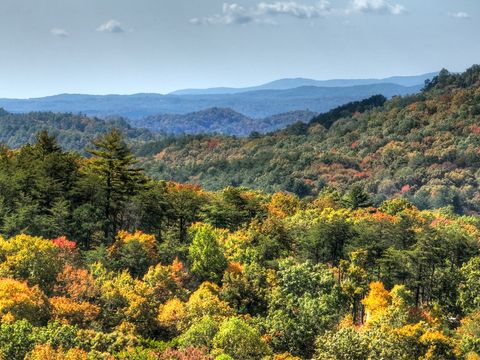 A home in Blue Ridge