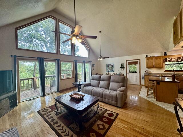 36 Dwaynes Trail