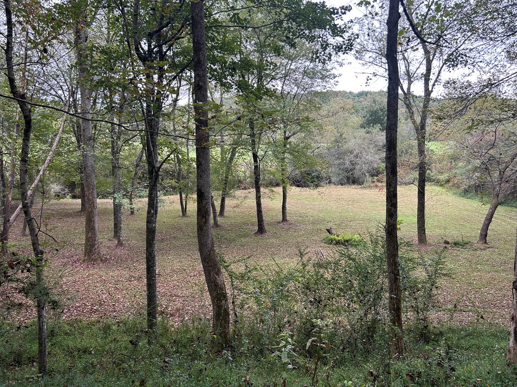 445 Twin Creeks Road