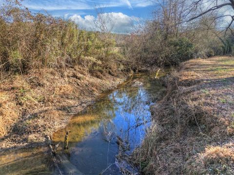 445 Twin Creeks Road Blue Ridge GA 30513