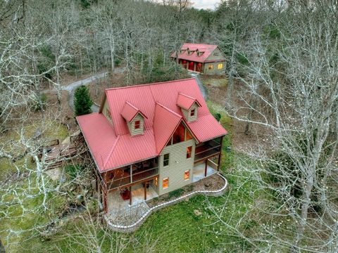 119 Hidden Acres Drive Mineral Bluff GA 30559