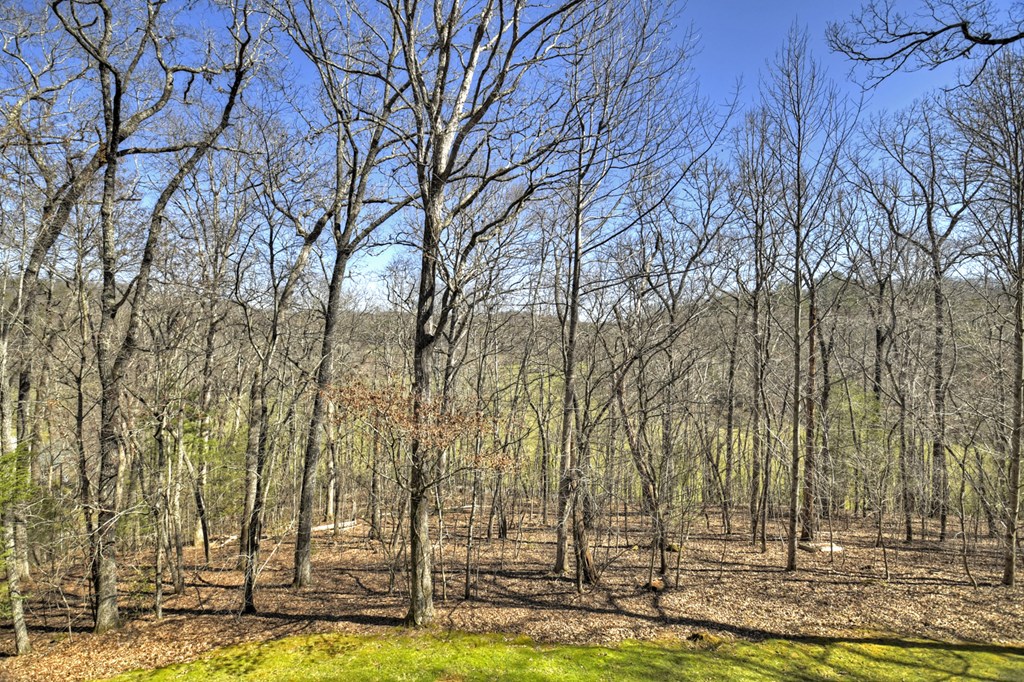 119 Hidden Acres Drive