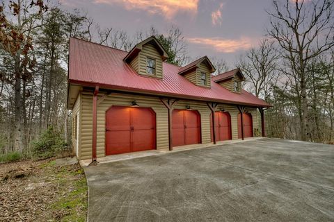 A home in Mineral Bluff
