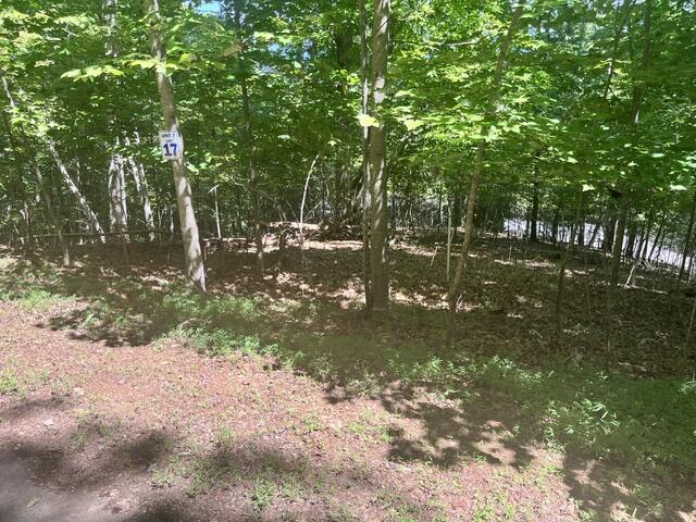 17 E Dogwood