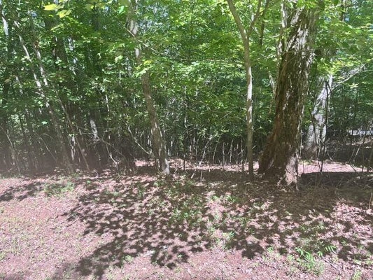 17 DOGWOOD LN, HAYESVILLE, NC 28904 - Image aaa7fa9110bb0cc4ffe7cf8b7fd4d466/3875161138